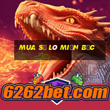 mua số lô miền bắc