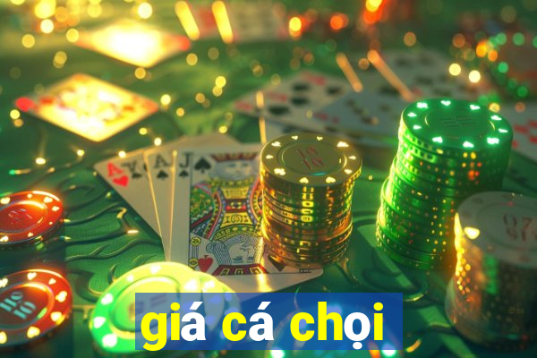 giá cá chọi