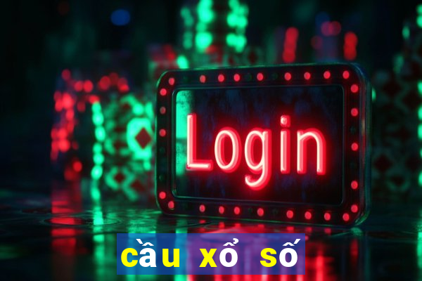 cầu xổ số bạc liêu