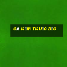 gà hầm thuốc bắc