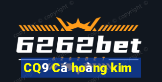 CQ9 Cá hoàng kim