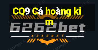 CQ9 Cá hoàng kim