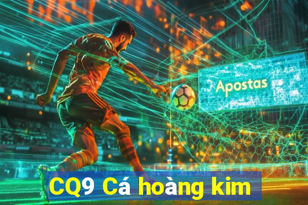 CQ9 Cá hoàng kim