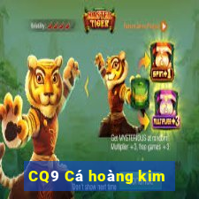 CQ9 Cá hoàng kim