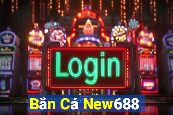 Bắn Cá New688