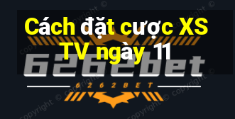 Cách đặt cược XSTV ngày 11