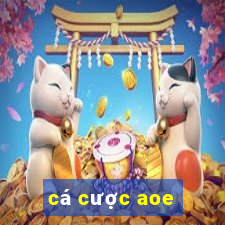 cá cược aoe