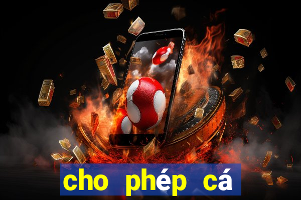 cho phép cá cược bóng đá đua ngựa