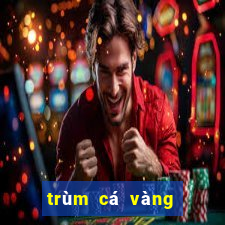 trùm cá vàng cổng game bắn cá hàng đầu