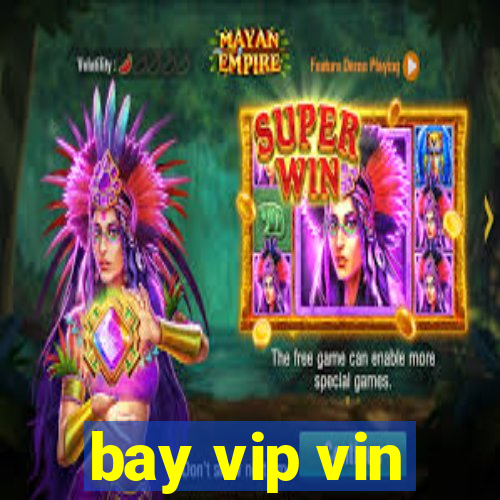 bay vip vin