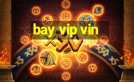 bay vip vin