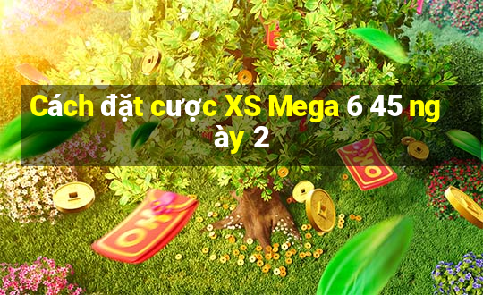 Cách đặt cược XS Mega 6 45 ngày 2