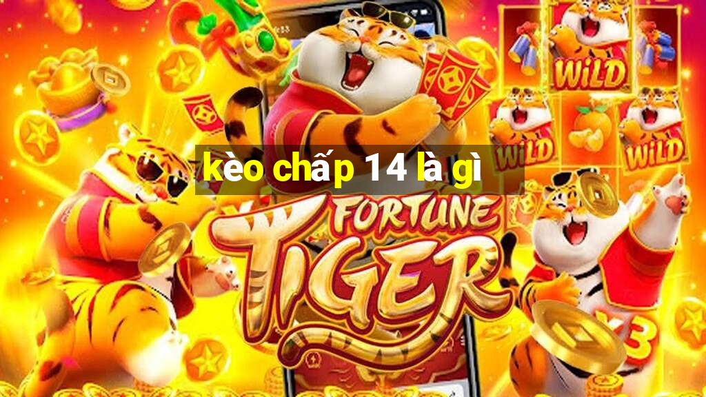 kèo chấp 1 4 là gì