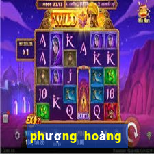 phượng hoàng lửa xanh