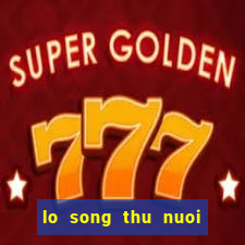 lo song thu nuoi khung 3 ngay