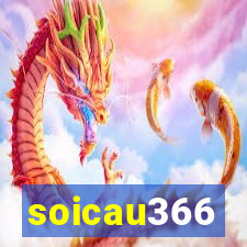 soicau366