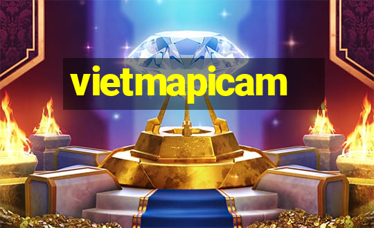 vietmapicam