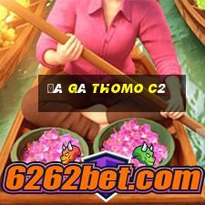 đá gà thomo c2