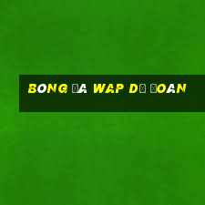 bóng đá wap dự đoán