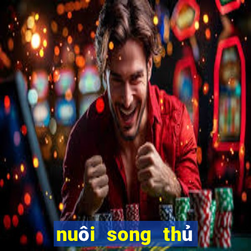 nuôi song thủ lô khung 2ngay