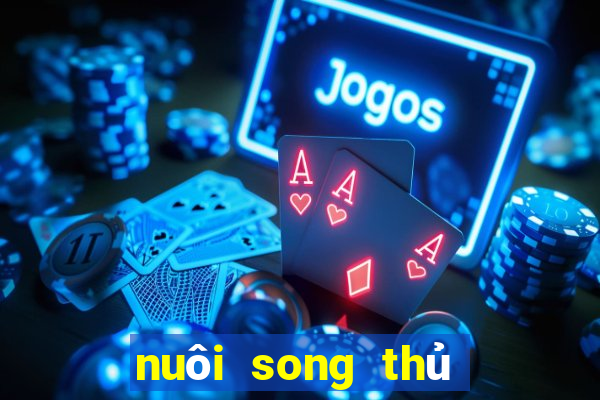 nuôi song thủ lô khung 2ngay