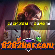 cách xem độ bóng đá