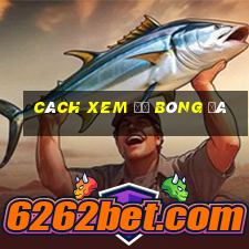 cách xem độ bóng đá