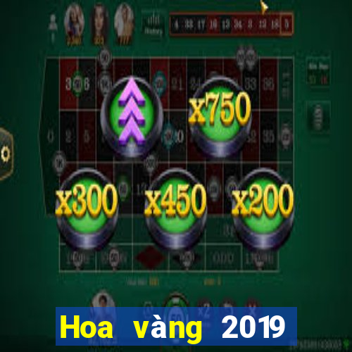 Hoa vàng 2019 của vua bull bull