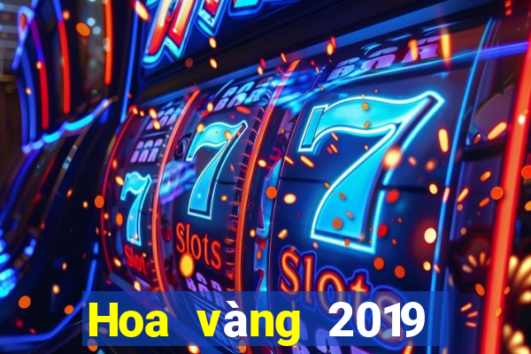 Hoa vàng 2019 của vua bull bull