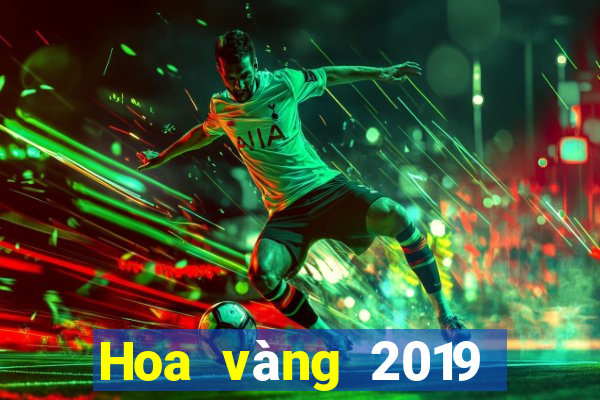 Hoa vàng 2019 của vua bull bull