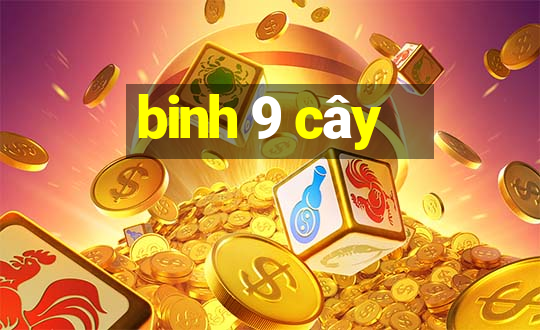 binh 9 cây