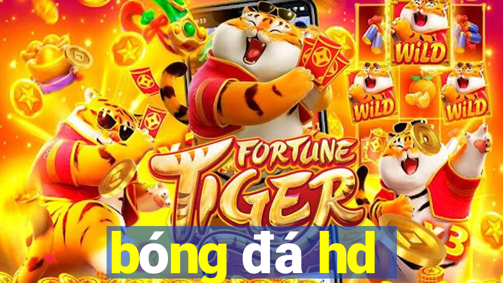 bóng đá hd