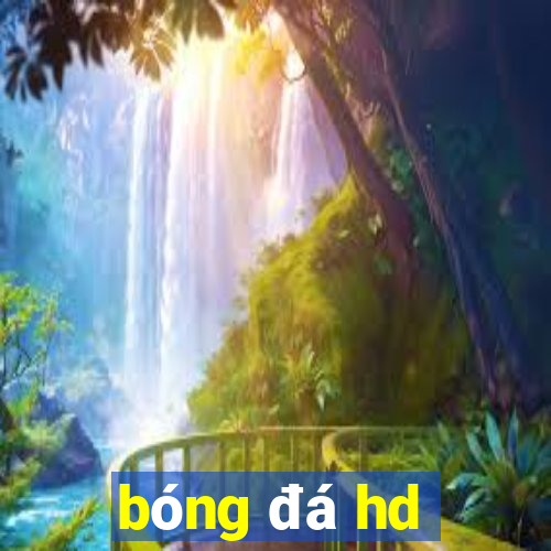 bóng đá hd