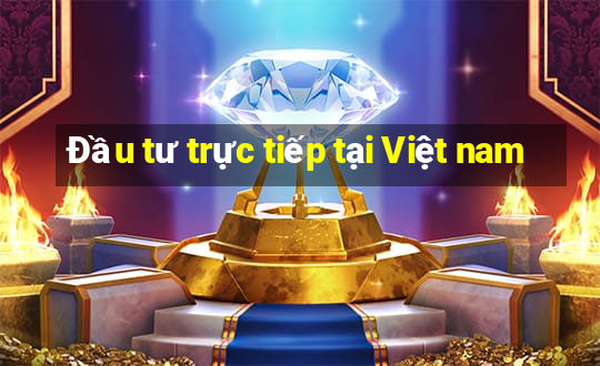 Đầu tư trực tiếp tại Việt nam