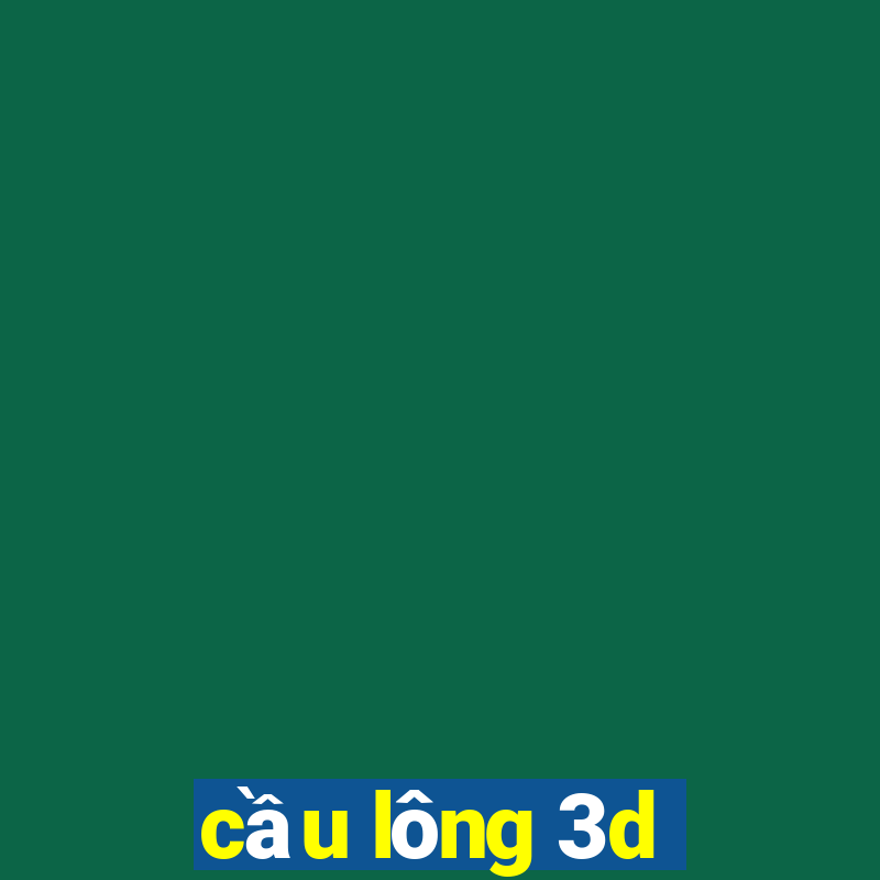 cầu lông 3d