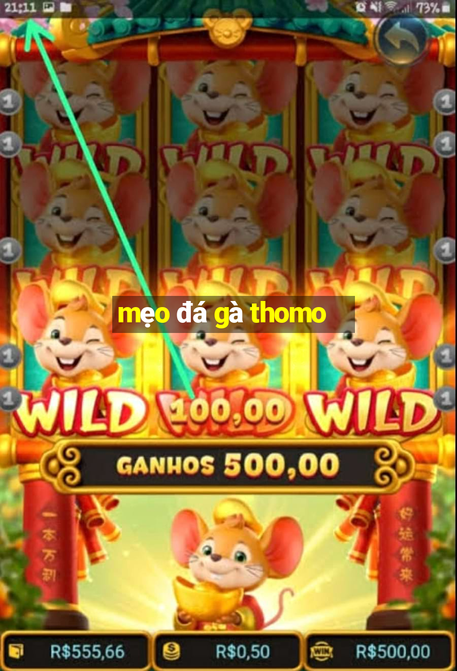 mẹo đá gà thomo