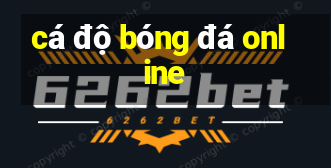 cá độ bóng đá online