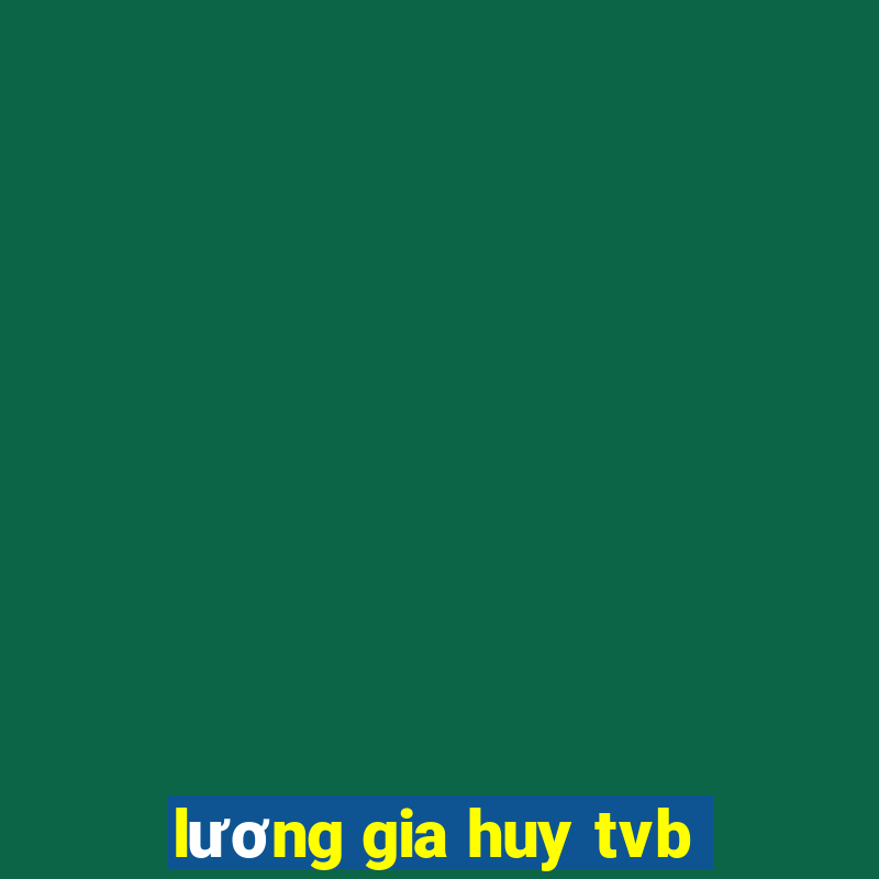 lương gia huy tvb