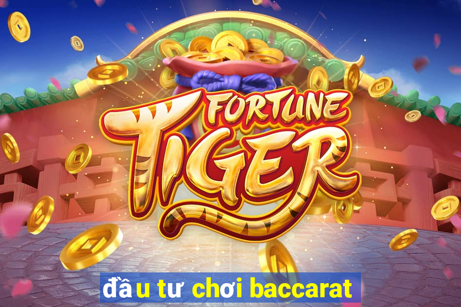 đầu tư chơi baccarat