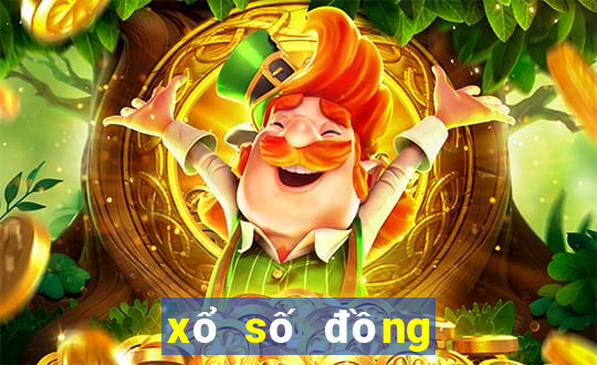 xo so dong nai 1 5