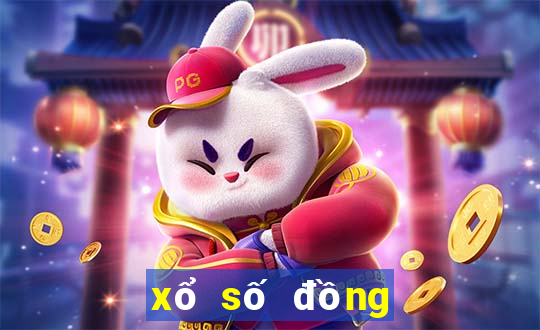 xo so dong nai 1 5