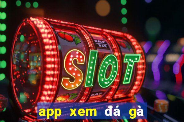 app xem đá gà trực tiếp thomo