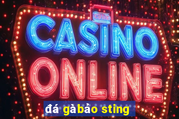 đá gà bảo sting