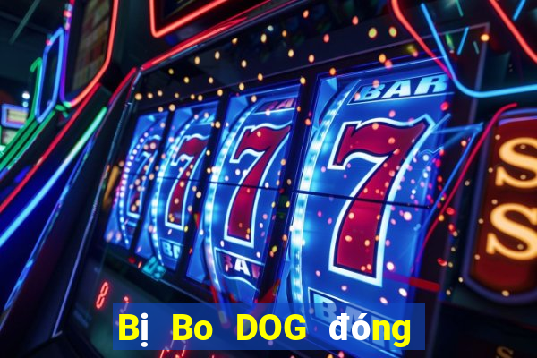 Bị Bo DOG đóng băng tài khoản