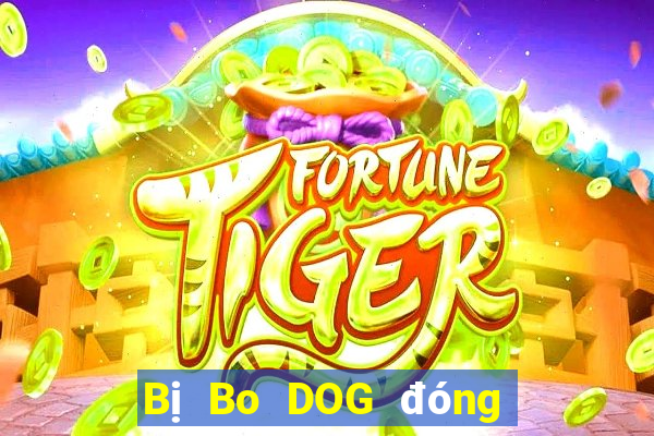 Bị Bo DOG đóng băng tài khoản