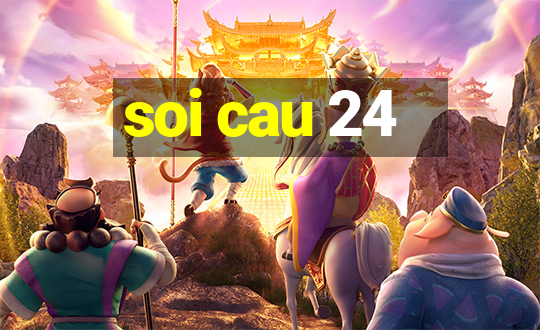 soi cau 24