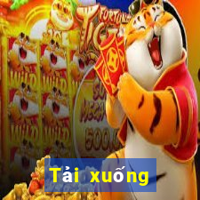 Tải xuống phần mềm 365 Bo