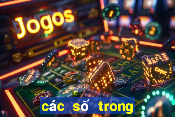 các số trong số đề