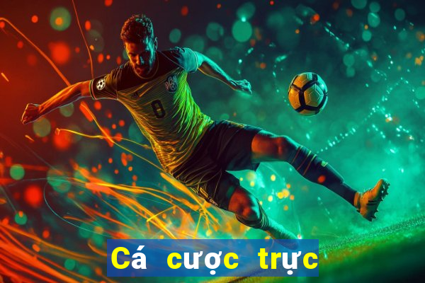 Cá cược trực tuyến leon