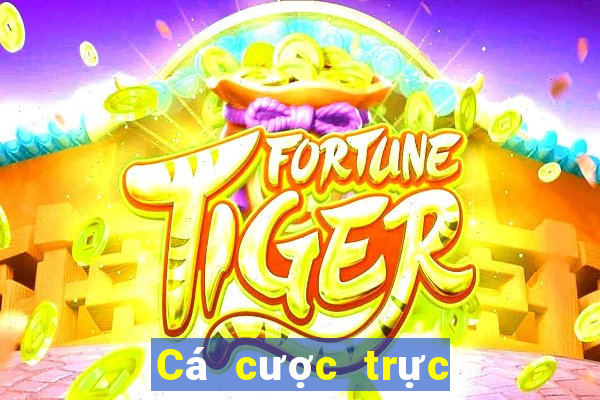 Cá cược trực tuyến leon